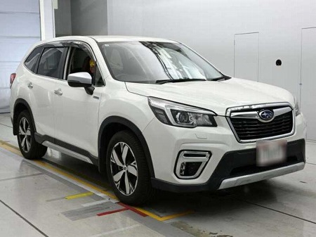 Japanese used car Ref# 1731851 SUBARU / FORESTER
