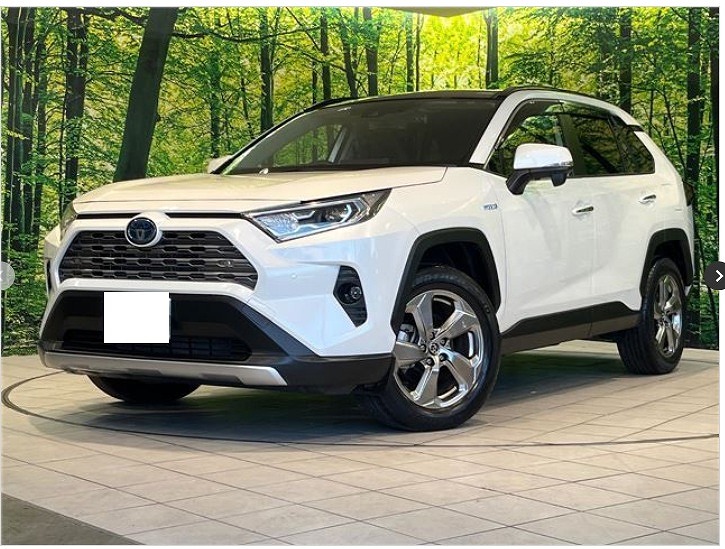 Japanese used car Ref# 1736026 TOYOTA / RAV4