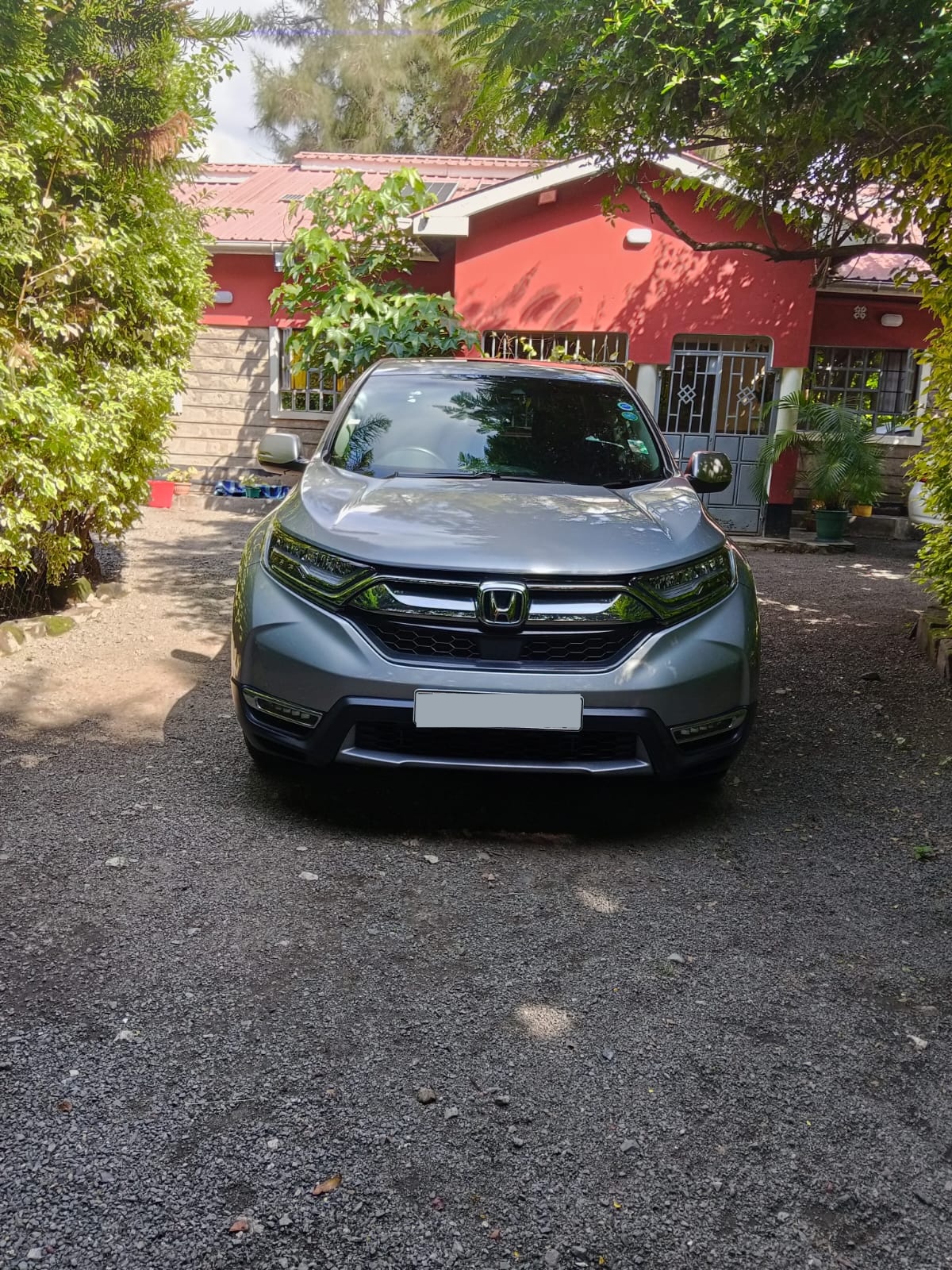 voice image 1
